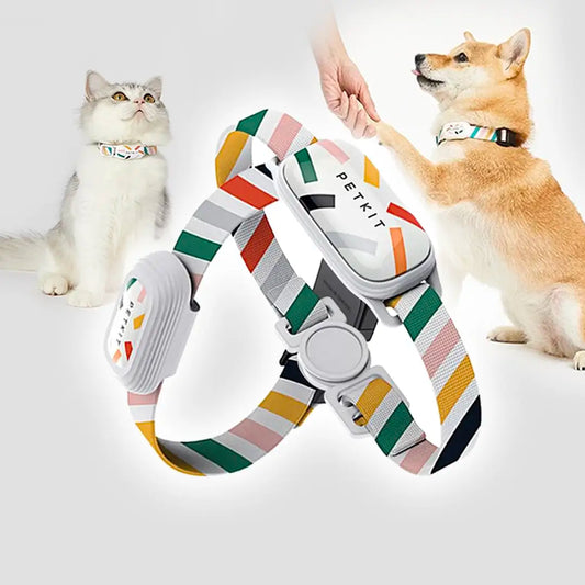 Petkit Monitor™: Collar Inteligente para Monitoreo de Mascotas